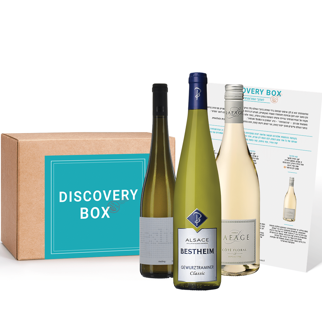 דיסקברי בוקס לאוהבי גוורצטרמינר